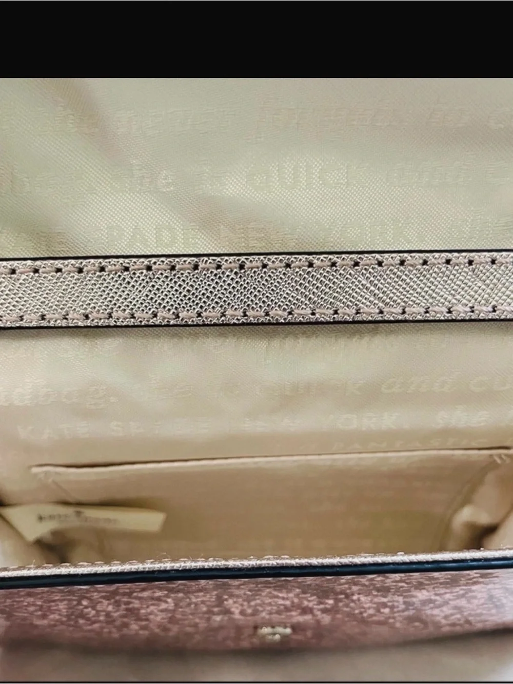 Kate Spade Glitter Bug Cami Clutch/Crossbody with Storybook Lining - NWT